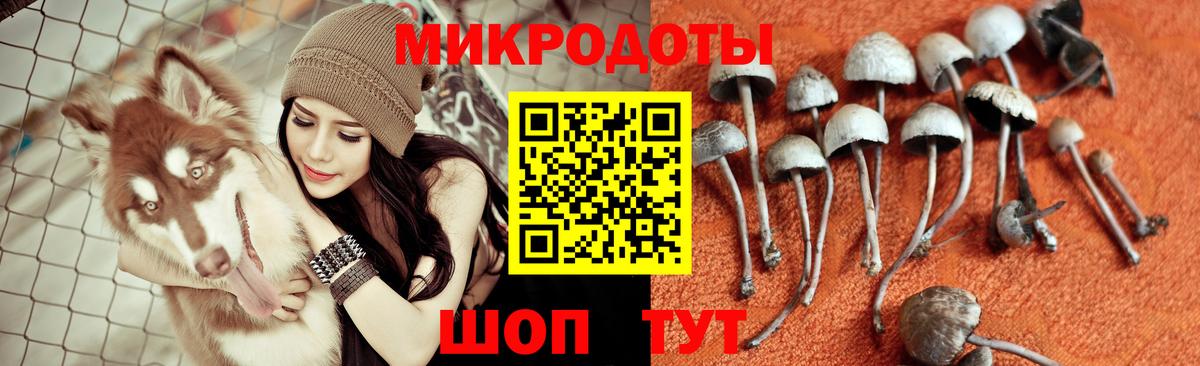 Галлюциногенные грибы мицелий Ишимбай